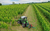 5-DF-TTV-4WS-Preview.jpg