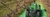 ADV_DF_5DF_plat_HR_preview-1150x400.jpg