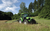 Agrofarm-5115-GS_Field_Stage-IIIA.jpg