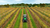 P03_Solutions_Gallery-2.jpg