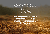 SOIL-5.png