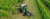 Series-5-DF-TTV-4WS_Tractor-de-Espana-2024.jpg