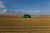 deutz-fahr-combine-harvester-6040_1.jpg