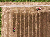 iMonitor_Gen3_Headland-management.png