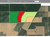 Schermata del DSS semina di DEUTZ-FAHR - Rappresentazione di campi di grano coltivati
